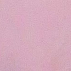 Meet your Posher, Estela